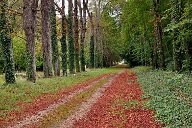 Circuit de randonnée : Vernantes
