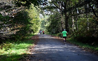 Balade à Roulettes n°38 : La forêt de Bastard à Pau