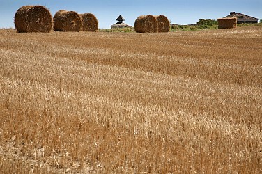 Balades et Randonnées : Le chemin de Carcès à Bouloc en Quercy