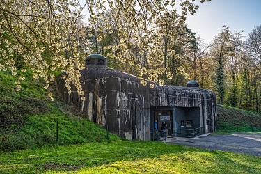 Hiking tour from Soultz-sous-Forêts to the Fort of Schoenenbourg
