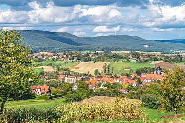 Hiking tour from Soultz-sous-Forêts to the Treetop Walk Alsace