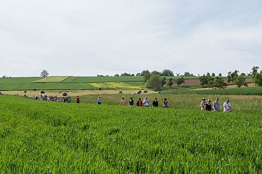 Sentier des 9 sources