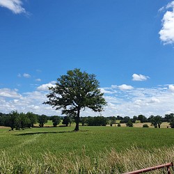 PR14 : Sentier des Montais