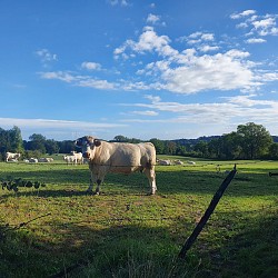 PR28 : Sur les traces du Tacot