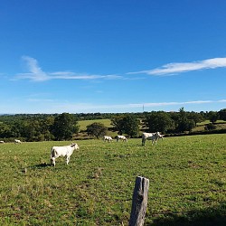 PR27 : Le sentier des Combrailles