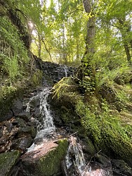 PR32 : Sentier du Ris Voirat