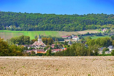 Chemin du Lac aux Niallières - Circuit  n°62