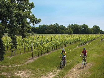 Moncaup : au cœur du Madiranais à VTT