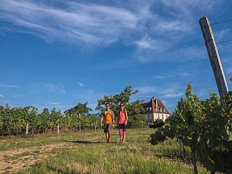 Crouseilles : entre vignes et château