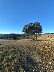 Sur le chemin du Grand Devès depuis GUZARGUES