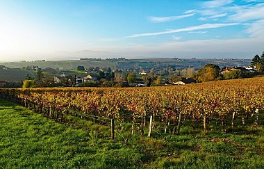 Pommiers - Traverse des Pierres Dorées n°3