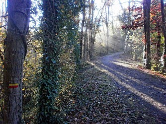 Le-Bois-d'Oingt - Traverse des Pierres Dorées n°7