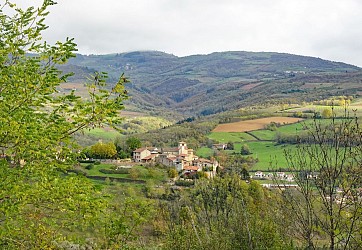 Ternand - Traverse des Pierres dorées n°8