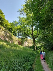 Sentier La Hayette