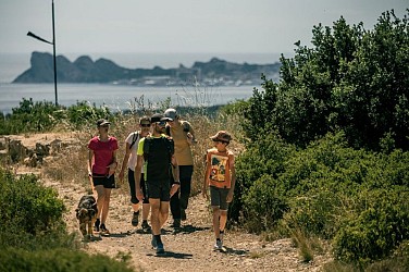 LA CADIÈRE-D'AZUR - Le bois du Défends