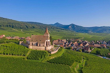 Sentier Géovino - la biodiversité - Hunawihr