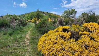 Colognac - Camp Barra