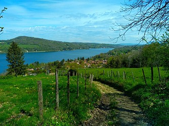 Bois des Sarres, Bois d’amour