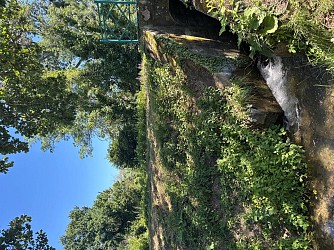 Sentier de la grenouille