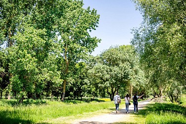 Lac, étang et affluent
