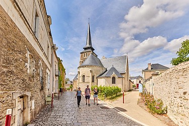 Sur les coteaux de Savennières