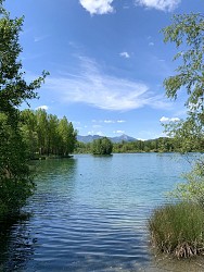 FORÊT DE TOUILLE - VTT N°21