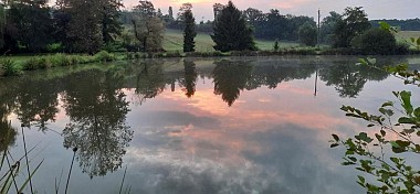 Balade - L'étang Pommier et le château Longchamp