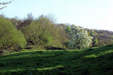 Circuit de la Véronne