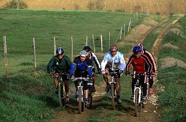 SENTIER DES LIMACS - VTT-FFC 8 - Lectoure