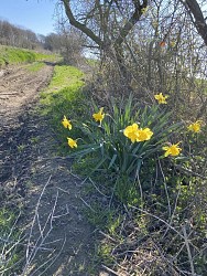 Promenade "Chemin des Mines" 15k
