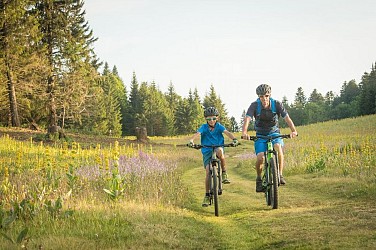 Sapin Bellier (Villard-Corrençon n°48)