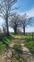 Randonnée - Tour de Certines et du château de Genoud