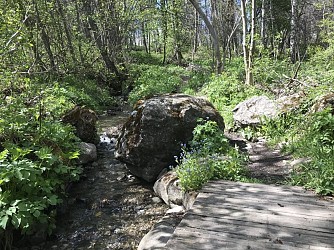 Trail N°24 - Le circuit du Béal