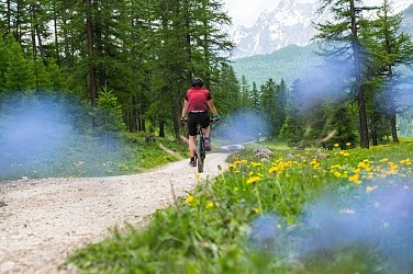 VTTAE N°16 - Le Tour des Têtes