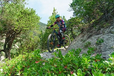 VTT N°06 - Circuit du Grand Parcher