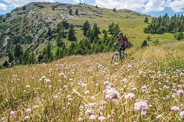 The Tour des Têtes (no. 16)