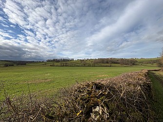 Balade Verte - Sentier panoramique (PZ1)
