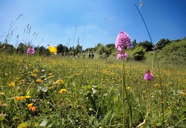 Le Sentier du Bout de la Rivière