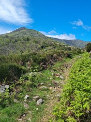 Serre de la Toureille