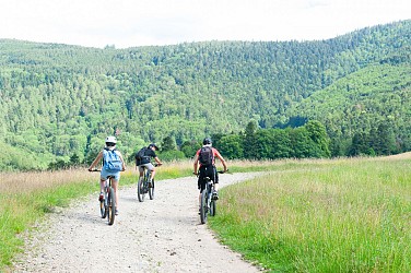 Circuit Val d'Argent, Châteaux et Vallée de Villée - L'Alsace Centrale à Vélo