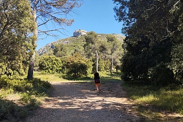 LES TAILLADES - Colline de Pied Caud