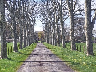 De Charbonnières à Dommartin-Lissieu par le GR® 169