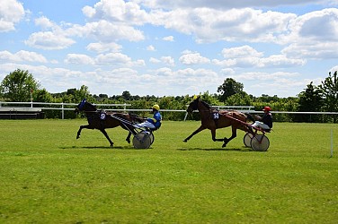 Huttopia Rambouillet : De l'étang d'or à l'Hippodrome