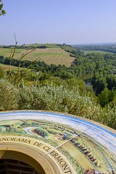SENTIER BOTANIQUE DE CLERMONT-LE-FORT