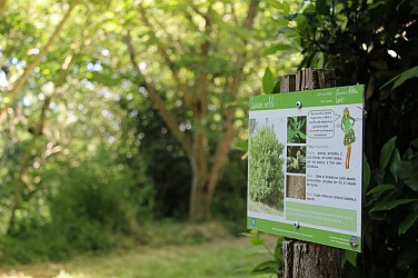 SENTIER BOTANIQUE DE MONTLAUR