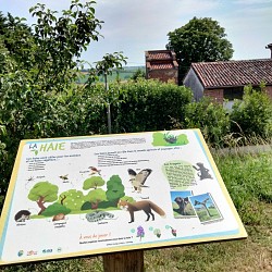 SENTIER ECOLOGIQUE DE LA SALAMANDRE