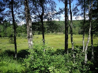 Sentier d'interprétation de la Vergne des Mazes