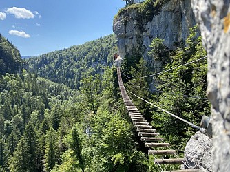 Terre de Lion