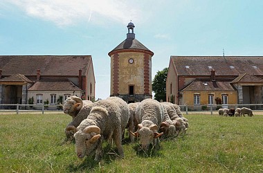Huttopia Rambouillet : La Bergerie Nationale et le château