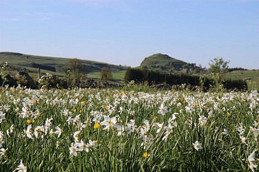 La Motte de Marchastel